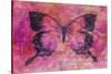 Pink Butterfly-Cora Niele-Stretched Canvas