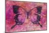 Pink Butterfly-Cora Niele-Mounted Giclee Print