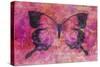 Pink Butterfly-Cora Niele-Stretched Canvas