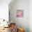 Pink Butterfly-Jennifer McCully-Giclee Print displayed on a wall