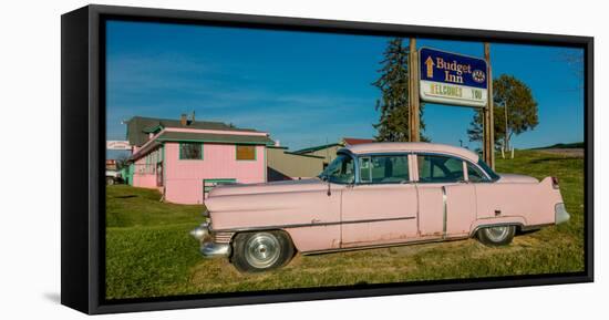 Pink Cadillac Diner, Natural Bridge, Virginia-null-Framed Stretched Canvas