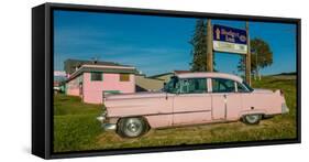 Pink Cadillac Diner, Natural Bridge, Virginia-null-Framed Stretched Canvas