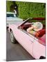 Pink Cadillac III-Bethany Young-Mounted Photographic Print