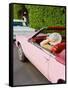 Pink Cadillac III-Bethany Young-Framed Stretched Canvas