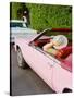 Pink Cadillac III-Bethany Young-Stretched Canvas
