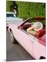 Pink Cadillac III-Bethany Young-Mounted Premium Photographic Print