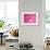 Pink Cake on Pink with Cherry-Tom Quartermaine-Framed Giclee Print displayed on a wall