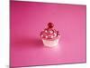 Pink Cake on Pink with Cherry-Tom Quartermaine-Mounted Giclee Print