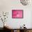 Pink Cake on Pink with Cherry-Tom Quartermaine-Framed Stretched Canvas displayed on a wall