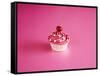 Pink Cake on Pink with Cherry-Tom Quartermaine-Framed Stretched Canvas