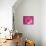 Pink Cakes on Pink 01-Tom Quartermaine-Giclee Print displayed on a wall