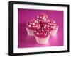 Pink Cakes on Pink 01-Tom Quartermaine-Framed Giclee Print