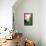 Pink Calla-Ursula Abresch-Framed Stretched Canvas displayed on a wall