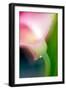 Pink Calla-Ursula Abresch-Framed Photographic Print