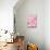 Pink Camellia Flower (Photography)-null-Stretched Canvas displayed on a wall