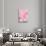 Pink Camellia Flower (Photography)-null-Stretched Canvas displayed on a wall