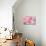 Pink Camellia Flower (Photography)-null-Giclee Print displayed on a wall