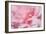 Pink Camellia Flower (Photography)-null-Framed Giclee Print