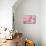 Pink Camellia Flower (Photography)-null-Mounted Giclee Print displayed on a wall