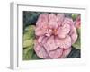 Pink Camilla-Mary Russel-Framed Giclee Print