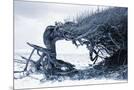 Wood Mount