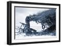 Black Frame