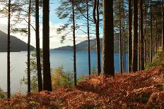 Panorama of the Loch Lomond during the Morning in Scotland, UK-pink candy-Photographic Print