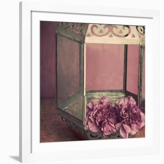 Pink Carnations in a Lantern-Tom Quartermaine-Framed Giclee Print