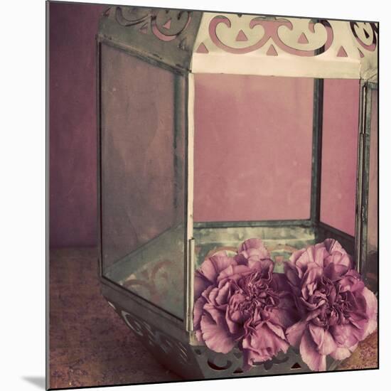 Pink Carnations in a Lantern-Tom Quartermaine-Mounted Giclee Print