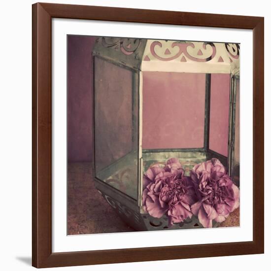 Pink Carnations in a Lantern-Tom Quartermaine-Framed Giclee Print