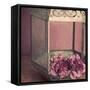 Pink Carnations in a Lantern-Tom Quartermaine-Framed Stretched Canvas