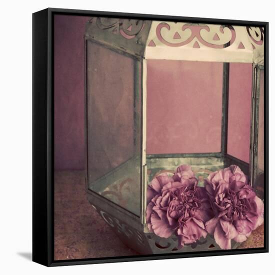 Pink Carnations in a Lantern-Tom Quartermaine-Framed Stretched Canvas