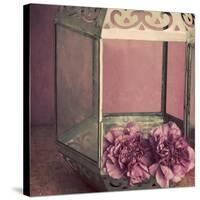 Pink Carnations in a Lantern-Tom Quartermaine-Stretched Canvas