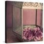 Pink Carnations in a Lantern-Tom Quartermaine-Stretched Canvas