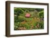 Pink Chair in Flower Garden-Steve Terrill-Framed Photographic Print