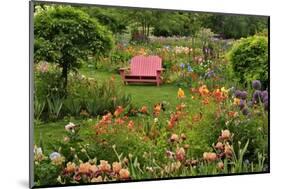 Pink Chair in Flower Garden-Steve Terrill-Mounted Photographic Print