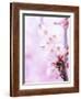 Pink Cherry Blossom Japan-Wonderful Dream-Framed Art Print