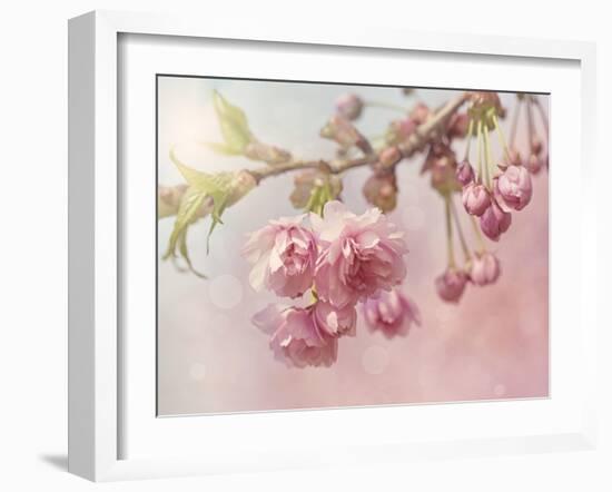 Pink Cherry Blossom Tree-egal-Framed Art Print