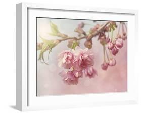 Pink Cherry Blossom Tree-egal-Framed Art Print