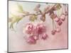 Pink Cherry Blossom Tree-egal-Mounted Art Print