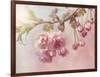 Pink Cherry Blossom Tree-egal-Framed Art Print