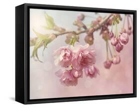 Pink Cherry Blossom Tree-egal-Framed Stretched Canvas