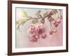 Pink Cherry Blossom Tree-egal-Framed Art Print