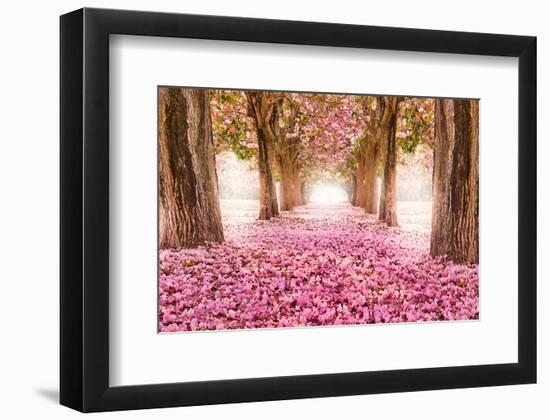 Pink Cherry Blossom Tunnel-null-Framed Art Print