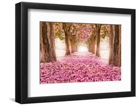 Pink Cherry Blossom Tunnel-null-Framed Art Print