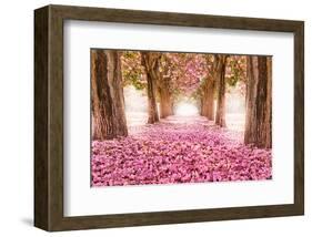 Pink Cherry Blossom Tunnel-null-Framed Art Print