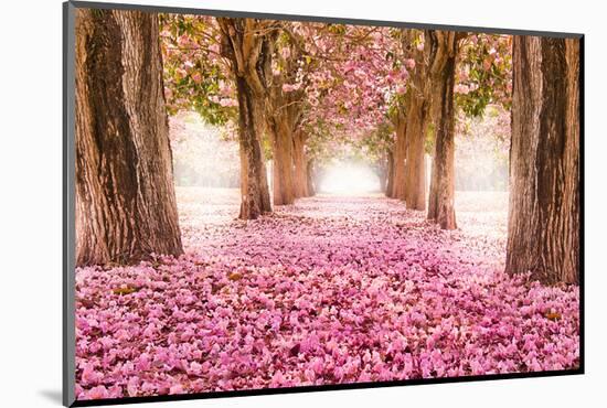 Pink Cherry Blossom Tunnel-null-Mounted Art Print