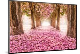 Pink Cherry Blossom Tunnel-null-Mounted Art Print
