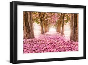 Pink Cherry Blossom Tunnel-null-Framed Art Print