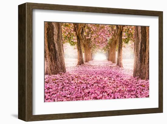 Pink Cherry Blossom Tunnel-null-Framed Art Print